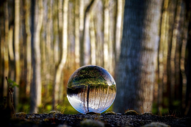 Outdoor Meditation